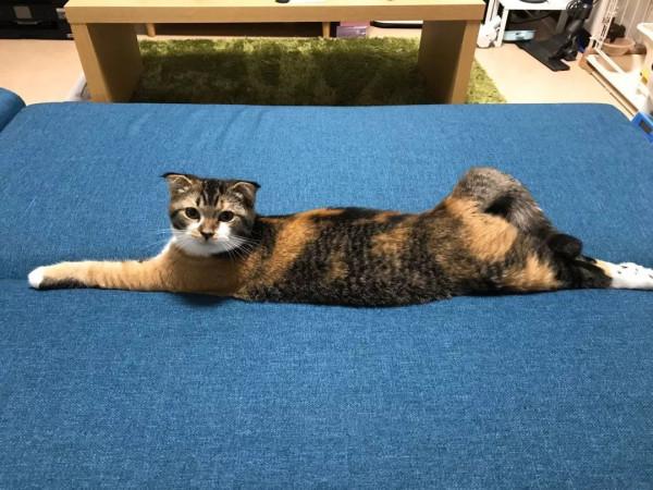 日本網友的魔性簡筆畫,太有靈魂了哈哈哈哈哈 日本網友的魔性簡筆畫,太有靈魂了哈哈哈哈哈