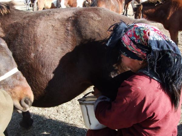 蒙古國牧民看似富裕，其實生活很艱辛，孤獨與無奈伴隨一生（中）