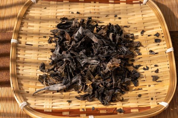 痰溼百病生！為什麼說結節與&OpenCurlyDoubleQuote;痰溼&rdquo;有關，老中醫講述結節的本質