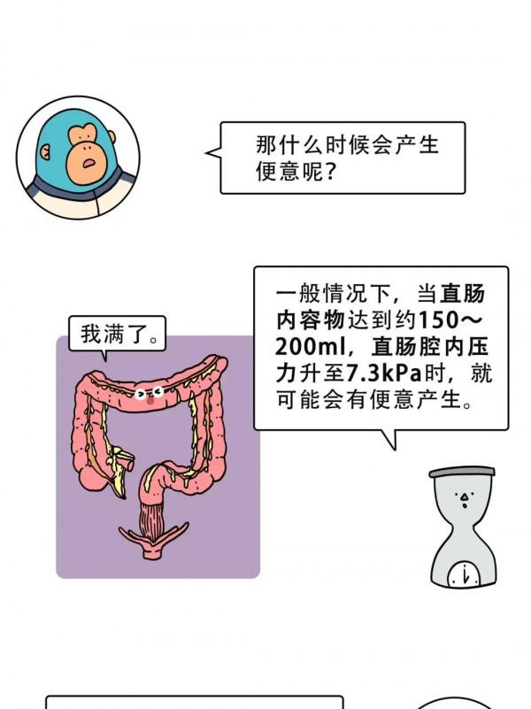 坐便VS蹲便，哪種姿勢更“舒服”？一組漫畫科普，終於有答案了