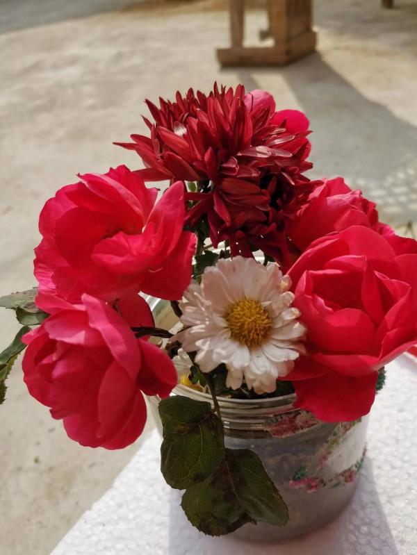 百花爭豔,各有異彩 百花爭豔,各有異彩