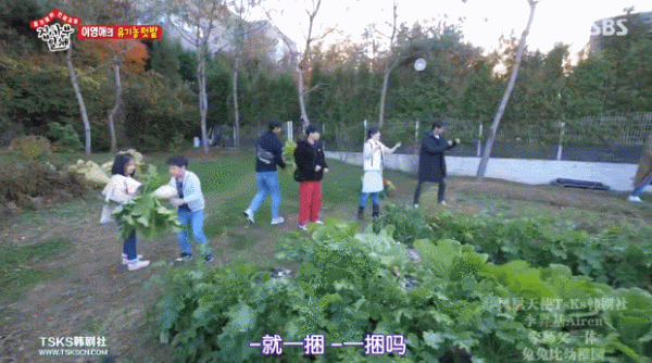 《大長今》主演李愛英：亞洲頂流變鄉下農婦，重新整理了對豪門的認知