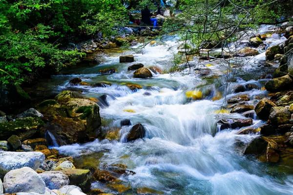 清幽的溪流