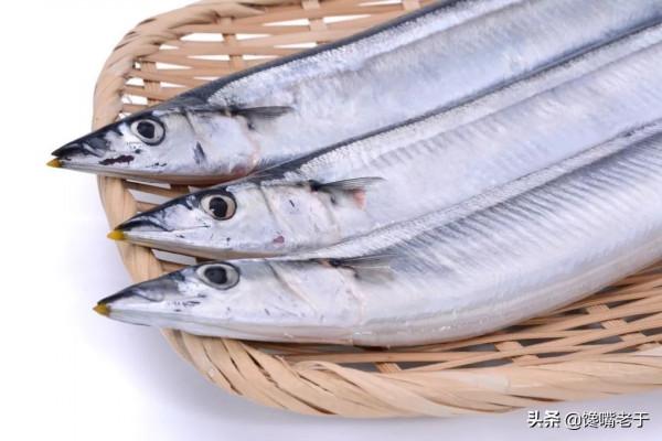 買帶魚:黑眼睛和黃眼睛哪種好?牢記3買4不買,帶魚新鮮味道正 買帶魚:黑眼睛和黃眼睛哪種好?牢記3買4不買,帶魚新鮮味道正