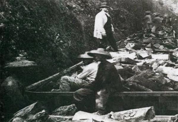 大地主劉文彩後人如今在哪?學者多,經商的少,孫子被活活勒死 大地主劉文彩後人如今在哪?學者多,經商的少,孫子被活活勒死