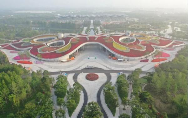 花博記憶丨這是開在記憶深處的一朵花 花博記憶丨這是開在記憶深處的一朵花