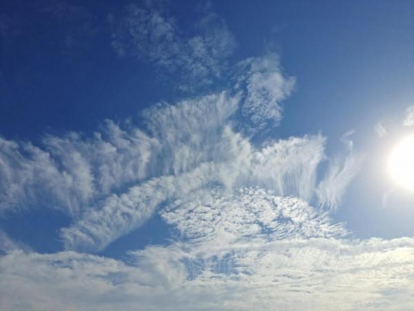 642件可寫的事之二