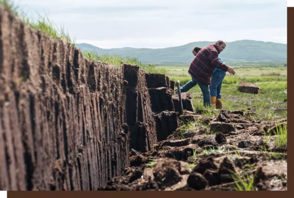 為威士忌增味的泥煤,助長了另一種極端審美 為威士忌增味的泥煤,助長了另一種極端審美