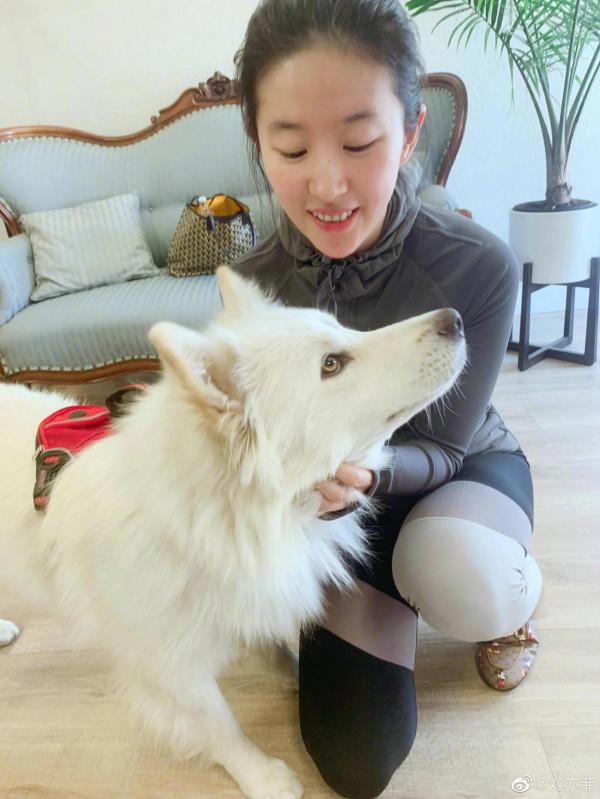 凌仙閣—劉亦菲