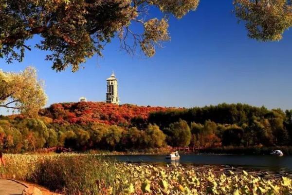 省內這幾條自駕路線,承包了最撩人的秋色!週末出發吧 省內這幾條自駕路線,承包了最撩人的秋色!週末出發吧