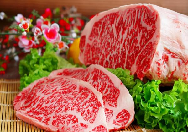 家有愛犬:幼犬一般都吃什麼?不同階段的幼犬餵食方法可以參考 家有愛犬:幼犬一般都吃什麼?不同階段的幼犬餵食方法可以參考