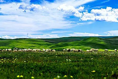 青海民間的風俗習慣,你知道的有幾個? 青海民間的風俗習慣,你知道的有幾個?