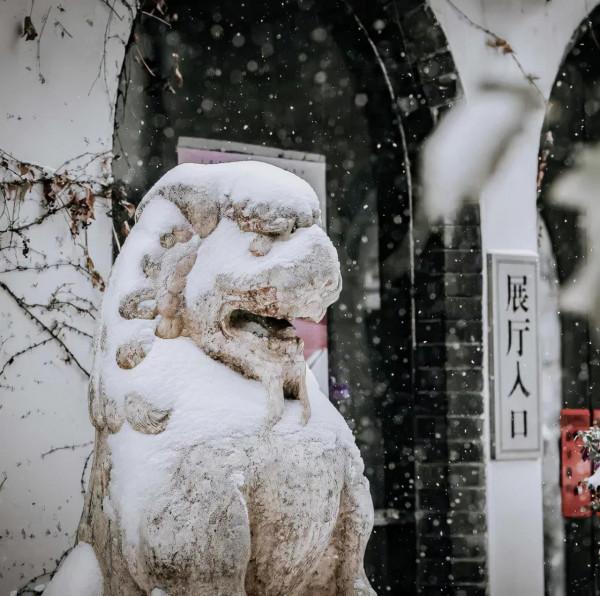 小貓咪會不會怕踩疼了雪呢? 小貓咪會不會怕踩疼了雪呢?