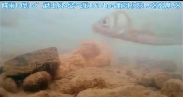 你為爆護做哪些？全是割韭菜的痕跡#八卦##垂釣#