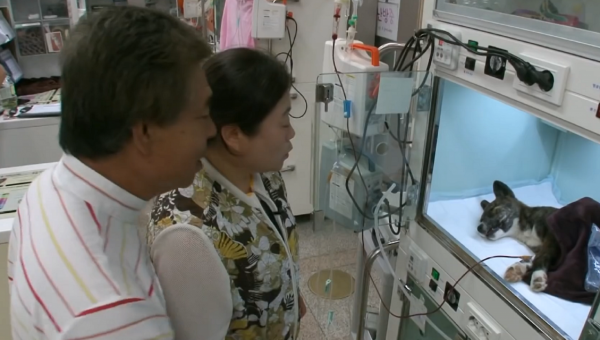 狗狗被埋4天后,離奇出現在主人家附近,慘痛哀嚎引來主人巡視 狗狗被埋4天后,離奇出現在主人家附近,慘痛哀嚎引來主人巡視