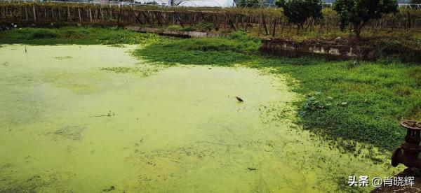 飛天山徒步，竟誤入桃源深處