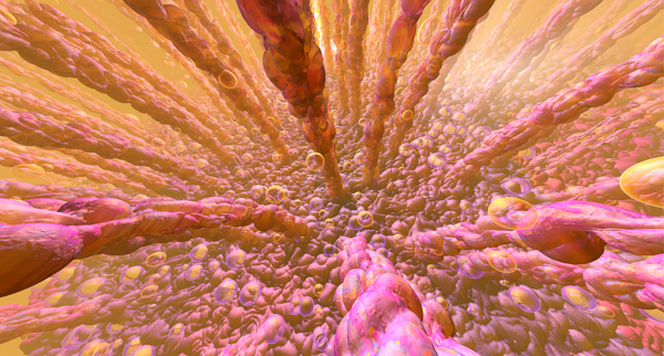 總是感到疲勞？5個方面改善能量水平，每天都能元氣滿滿