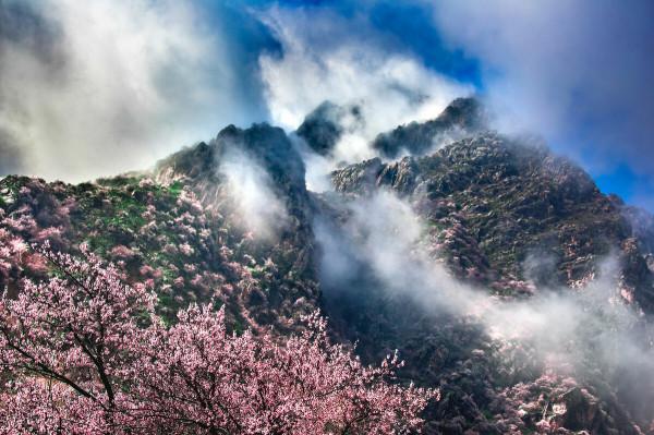 超出你想象的空中草原