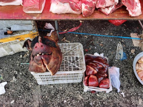 東北大集都有點啥，快跟我一起逛逛