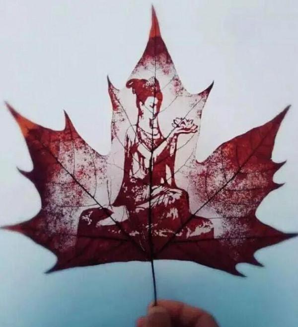 一葉知秋,一葉一世界 一葉知秋,一葉一世界