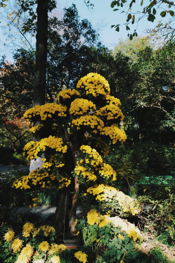 說杭州是美食荒漠,還不是你去錯了地 說杭州是美食荒漠,還不是你去錯了地