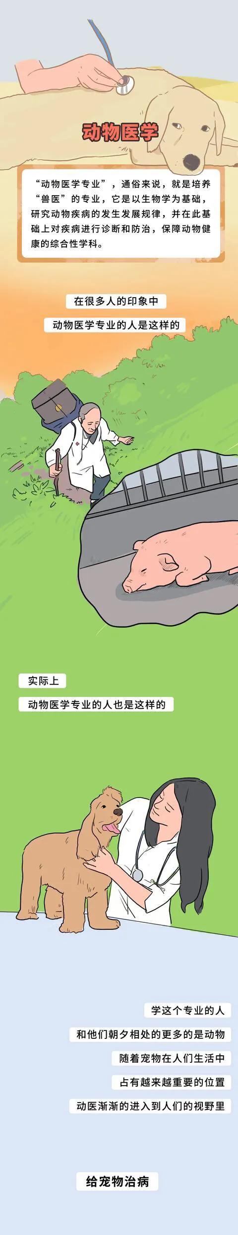 漫畫:大學“冷門專業”,你聽過幾個? 漫畫:大學“冷門專業”,你聽過幾個?