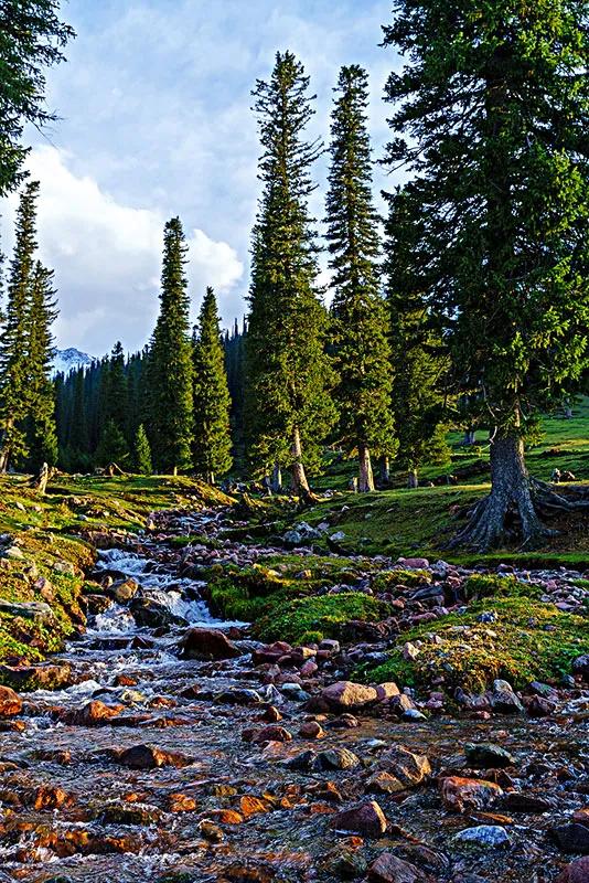 新疆那拉提草原風光 新疆那拉提草原風光