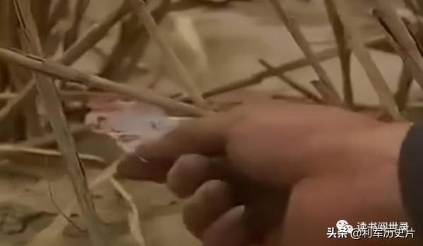 老故事：科學家彭加木神秘消失在羅布泊，竟是叛逃去了美國