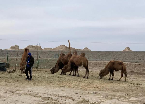 行走青海第六天｜勝利大逃亡：我們與疫情擦肩而過