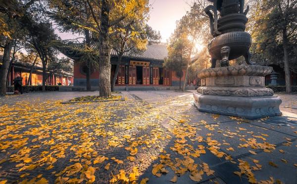 河南這4條寶藏的自駕線，沿途秋色美上天，現在還有433家景區免票