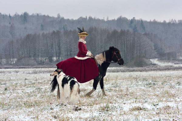皇帝和國王的區別 皇帝和國王的區別