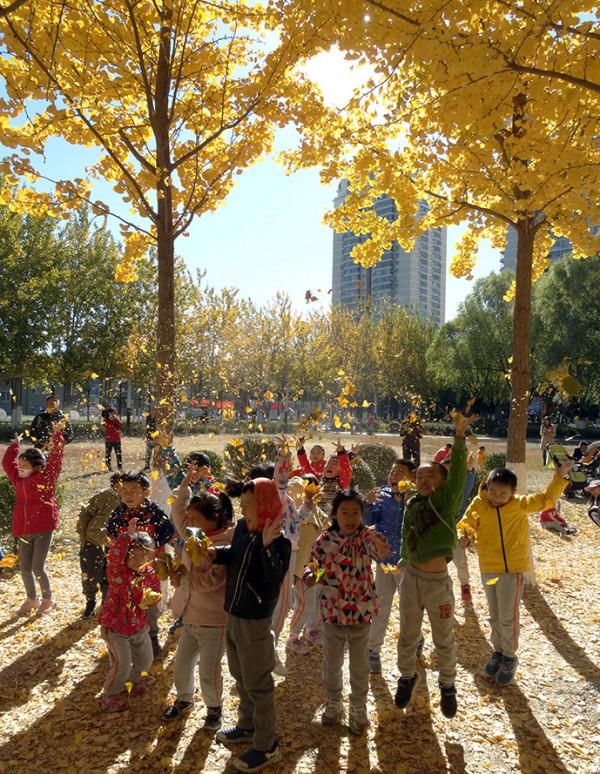 秋 韻 賦----《蝶變回天》北京天通苑靚麗美景拍不完（18）