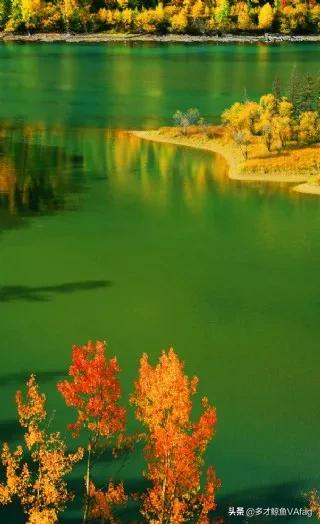 美麗的新疆喀納斯