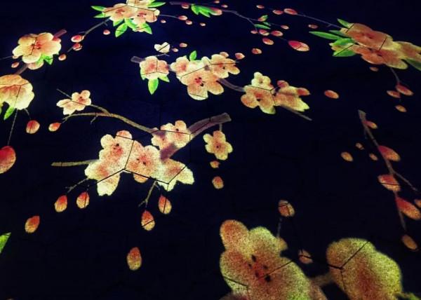 太湖,亮燈! 太湖,亮燈!