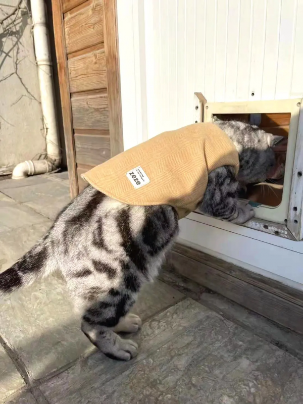 穿上馬甲我就不認識你了？