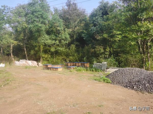 魚塘，蜜蜂，青山綠水，這是我小時候家裡的美景，但卻這是江南…