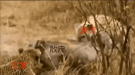 特斯拉大跌連累今天的新能源？醒醒吧