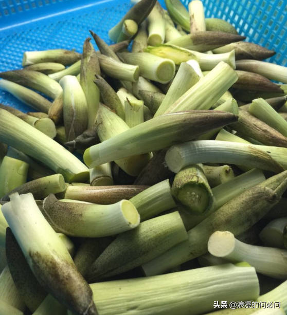 雲南的10種原生態風味菜，出了雲南，可吃不到這種原生態的風味菜