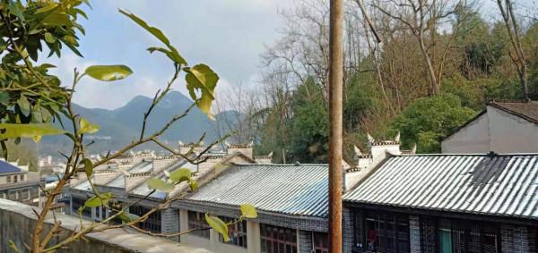 七絕 正月風景