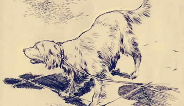 民間故事:書生參加喜宴,偷走新娘的手鐲,三日後妻子左臂變狗腿 民間故事:書生參加喜宴,偷走新娘的手鐲,三日後妻子左臂變狗腿