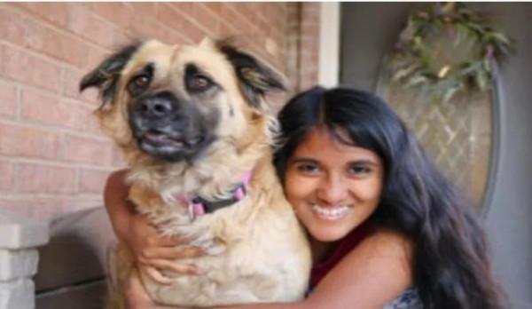 心理治療大師---“叮噹”