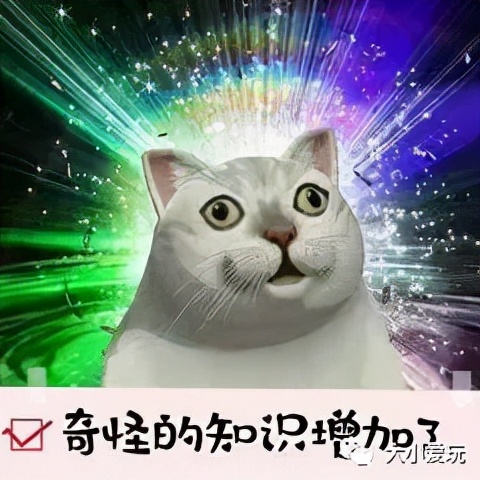 這幾家“黑科技”遛娃地真是絕,大寶小寶們都能玩得津津有味 這幾家“黑科技”遛娃地真是絕,大寶小寶們都能玩得津津有味