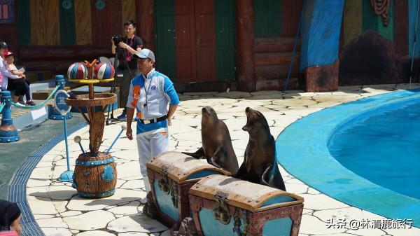 北方最宜居的3座海濱城市，比青島價效比高，空氣好養老絕佳