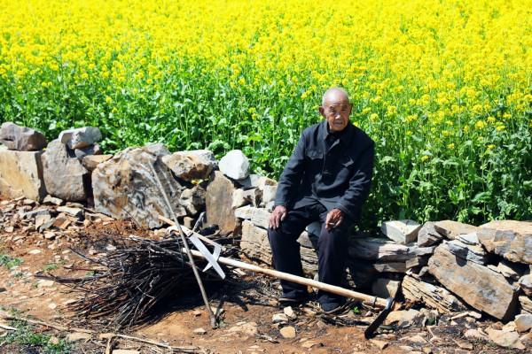 東姚石大溝村，一個用石頭壘砌的世界
