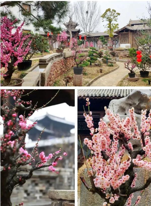 建業足球小鎮的15億，是如何被全部沖毀的？