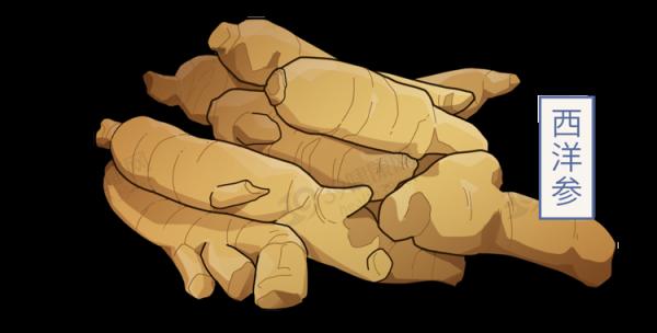 中醫2個藥材，有效補氣排毒，“體毒”沒了，便秘等症狀就緩解了