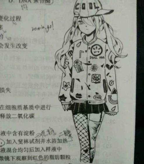 吉林一初中女生的數學試卷火了，答案離題萬里，網友卻紛紛叫好