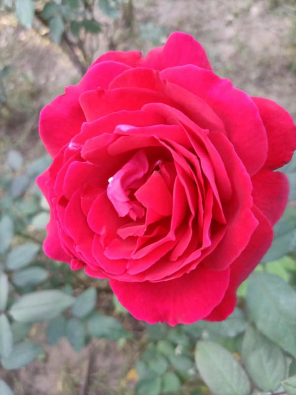 看教育不能用肉眼而是用心眼