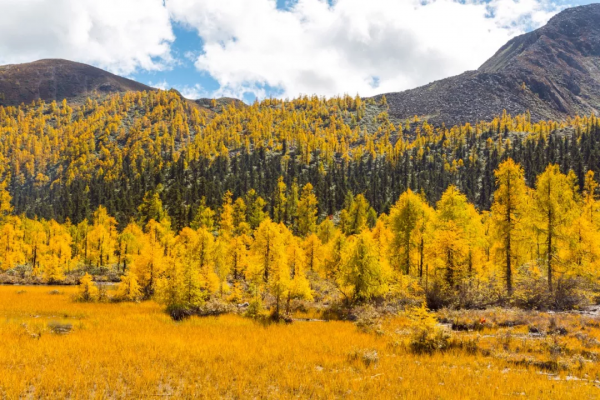 最美秋色徒步路線！去一趟這裡，相當於去過了北疆、壩上、雲南