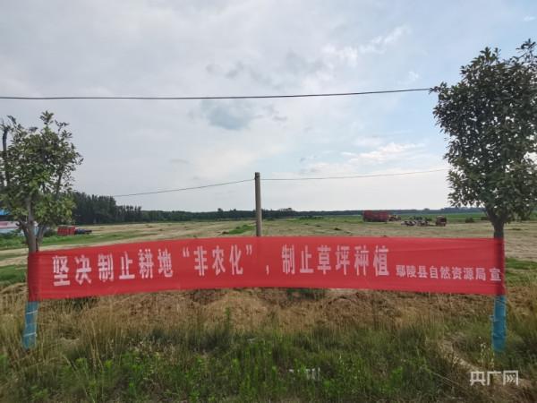 河南部分農村土地流轉失控現象調查